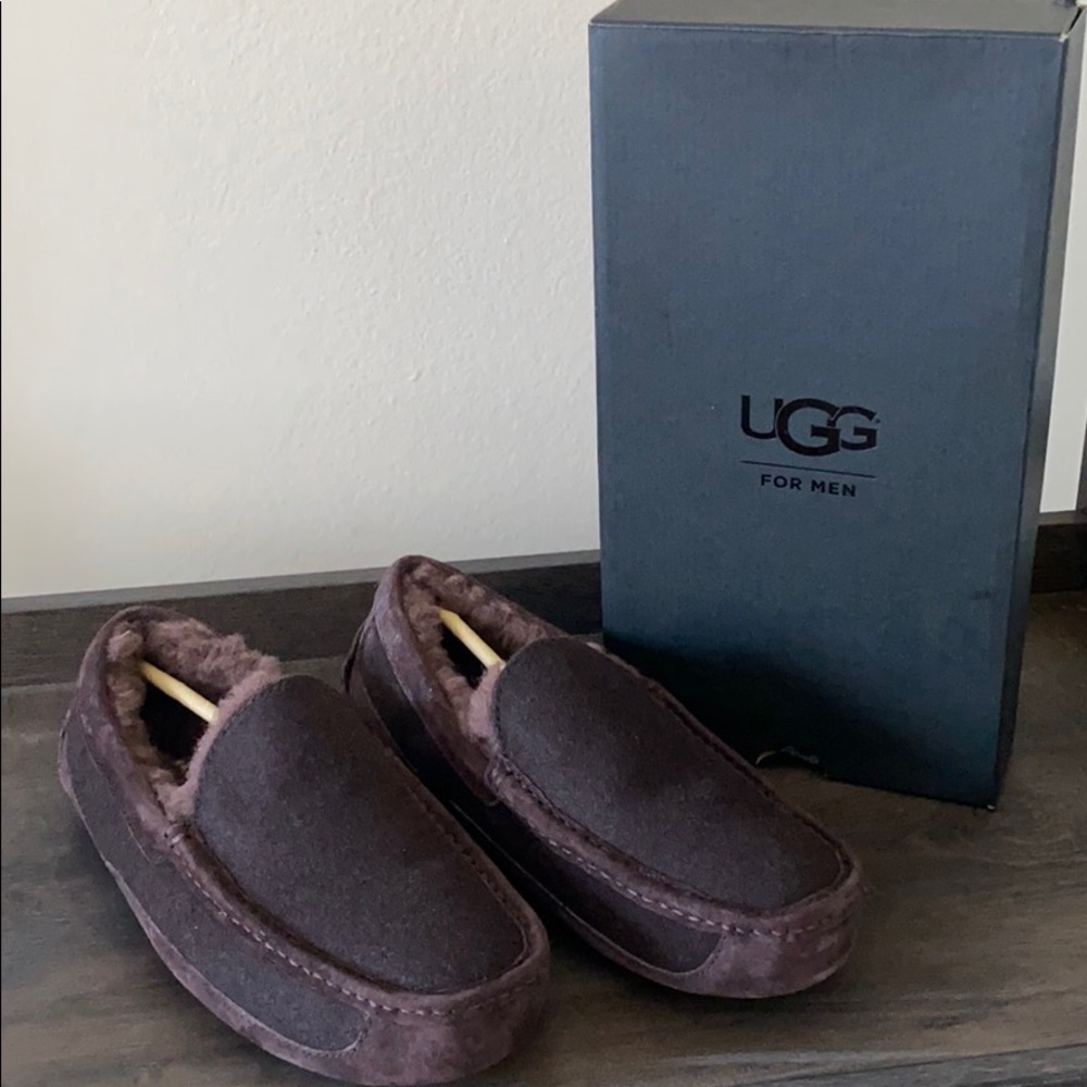 *NEW* UGG Men’s Ascot Wool Slipper Brown Size 9